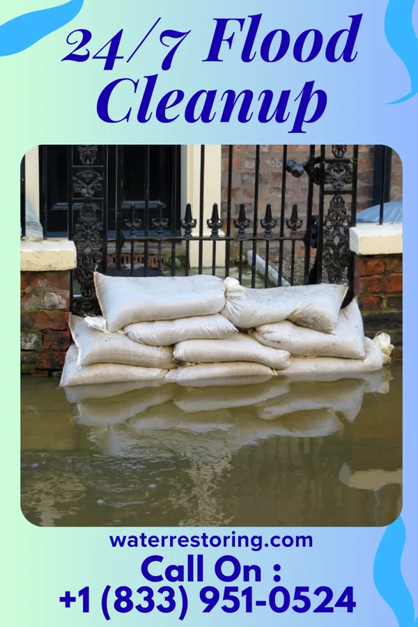 24/7 Flood Cleanup in Bellevue, IL