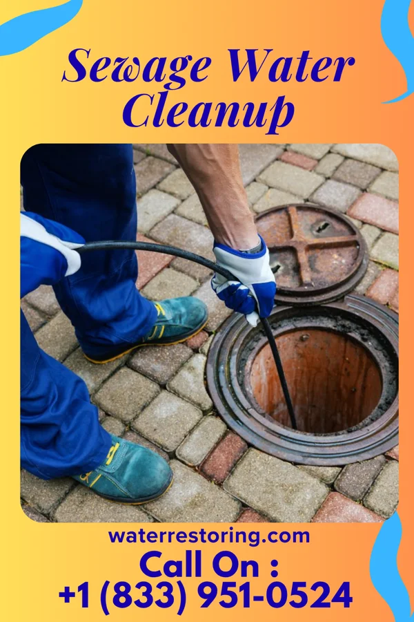 Sewage Water Cleanup in Bellevue, IL